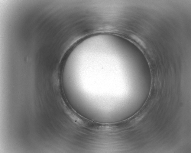 X0000070861458200606302033