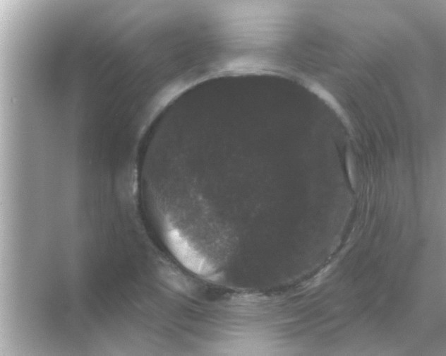 X0000070861461200606302033