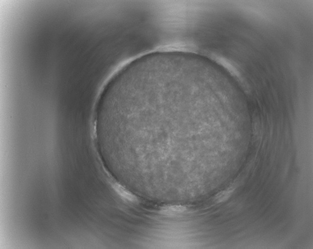 X0000070861462200606302033