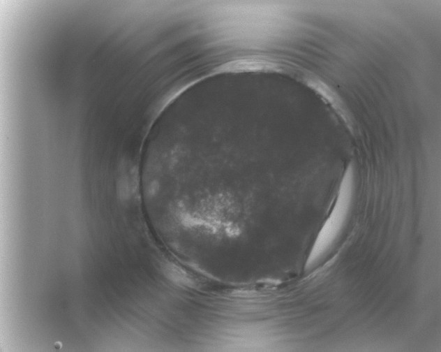 X0000070861465200606302033