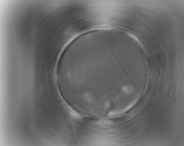 X0000070861466200606302033