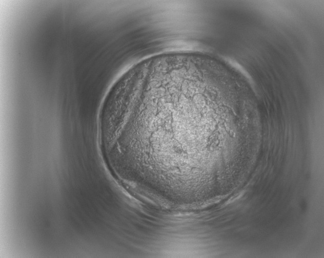 X0000070861467200606302033