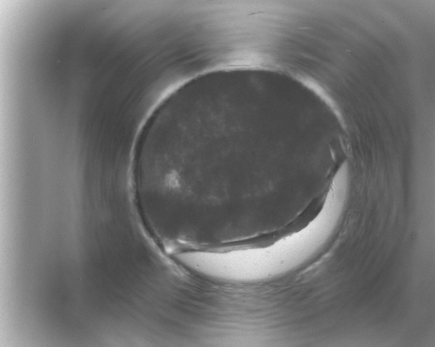 X0000070861469200606302033