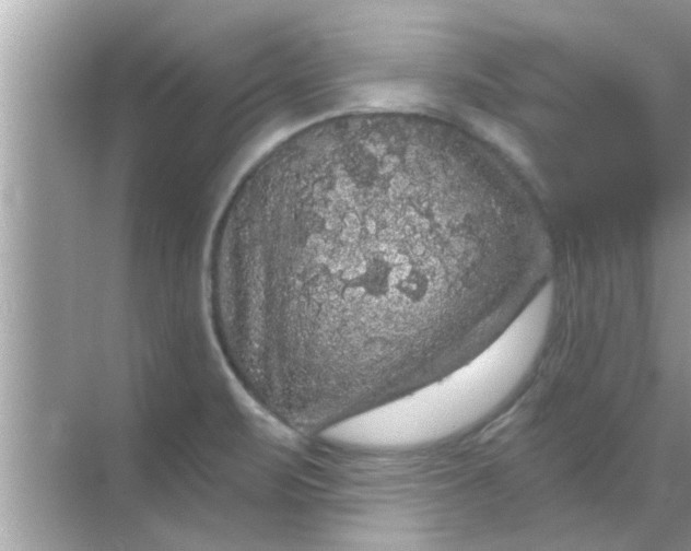 X0000070861471200606302033