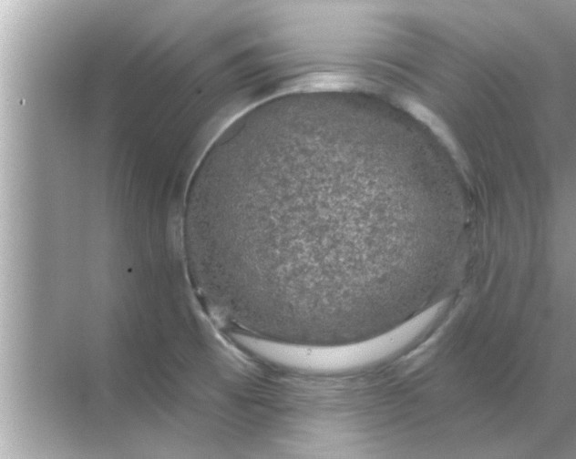 X0000070861473200606302033