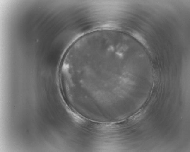 X0000070861474200606302033