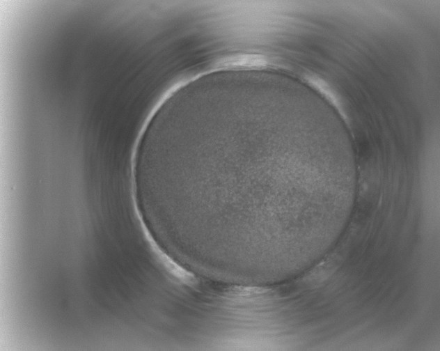 X0000070861475200606302033