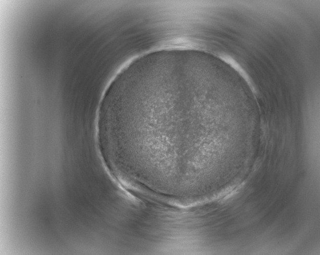 X0000070861477200606302033