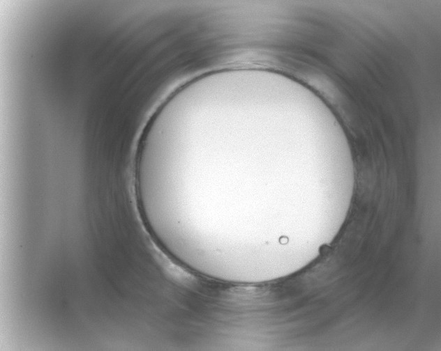 X0000070861478200606302033