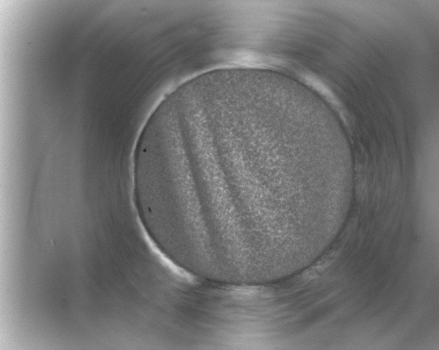 X0000070861479200606302033