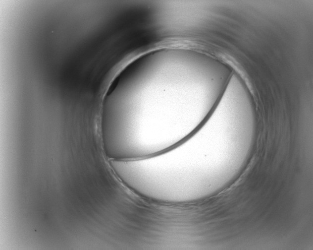 X0000070861481200606302033