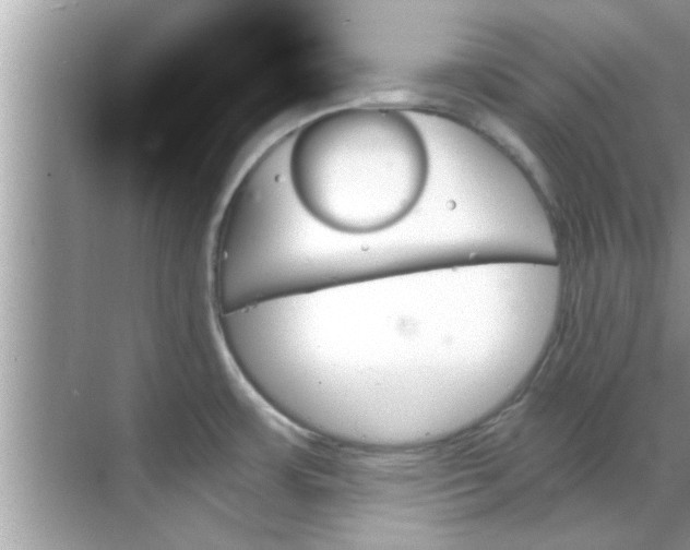 X0000070861483200606302033