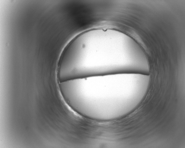 X0000070861484200606302033