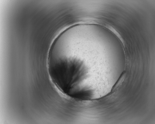 X0000070861485200606302033