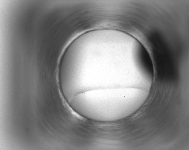 X0000070861486200606302033