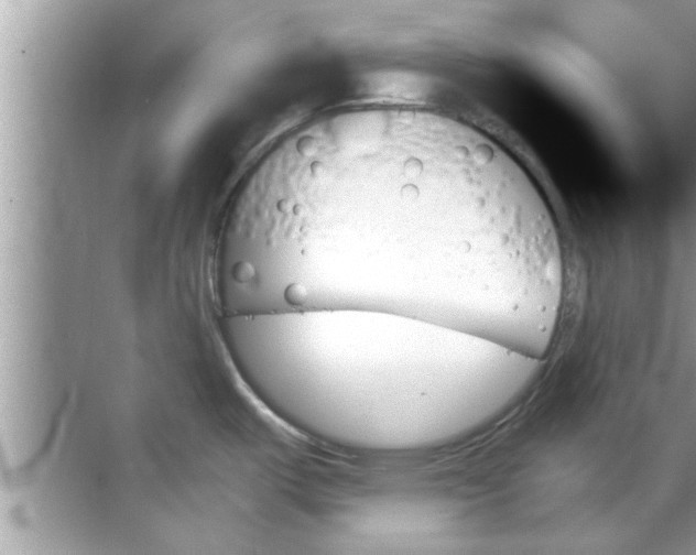 X0000070861487200606302033