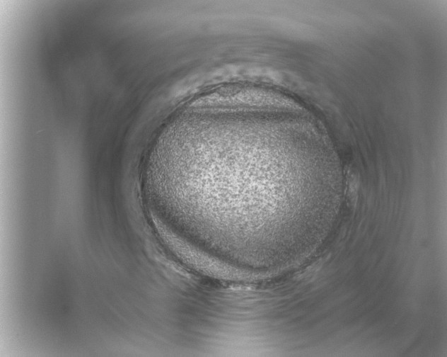 X0000070861489200606302032