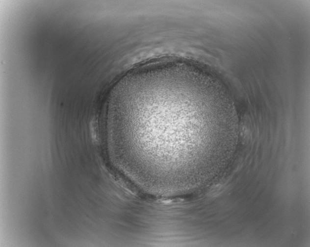 X0000070861490200606302032