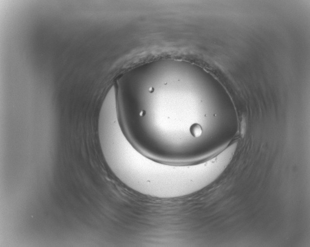 X0000070861492200606302032