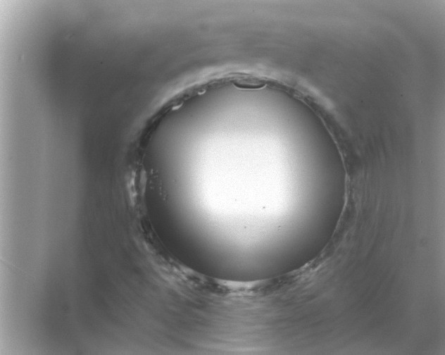 X0000070861496200606302032