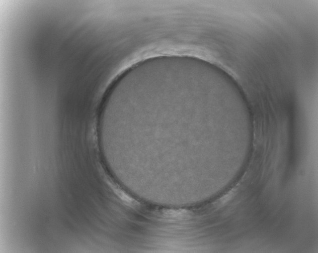 X0000070861498200606302032