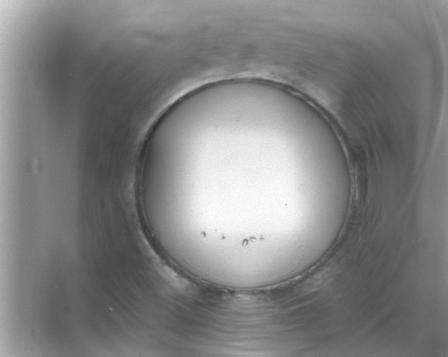 X0000070861500200606302032