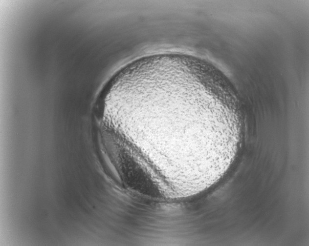 X0000070861501200606302032