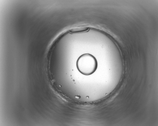 X0000070861502200606302032