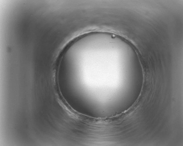 X0000070861503200606302032