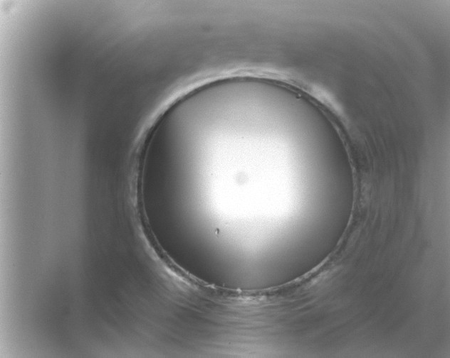 X0000070861504200606302032