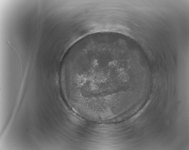 X0000070861505200606302032