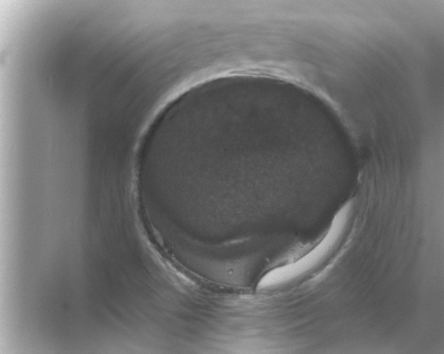 X0000070861506200606302032