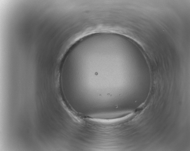 X0000070861507200606302032