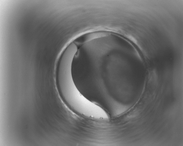 X0000070861508200606302032