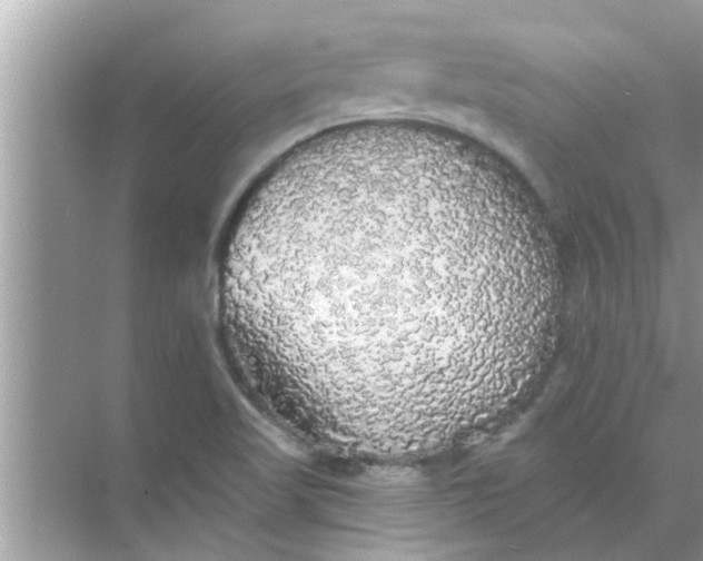 X0000070861509200606302032