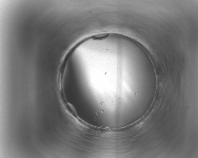 X0000070861510200606302032