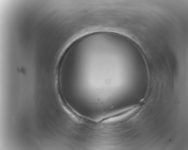 X0000070861511200606302032