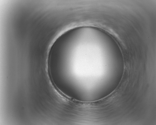 X0000070861512200606302032