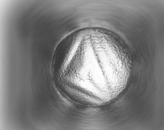 X0000070861513200606302032