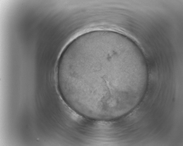 X0000070861514200606302032