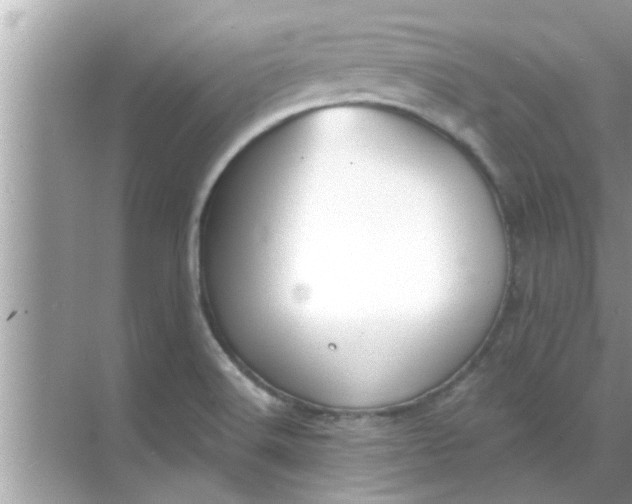 X0000070861516200606302032