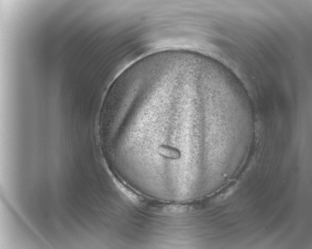 X0000070861521200606302032