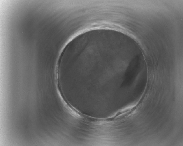 X0000070861522200606302033