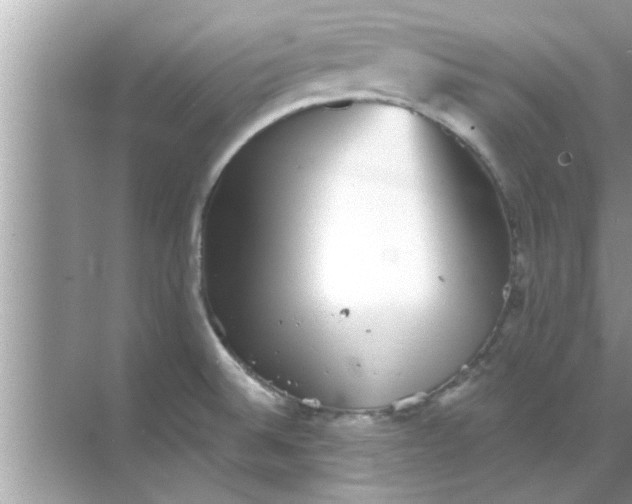 X0000070861524200606302033