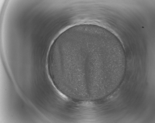 X0000070861525200606302033