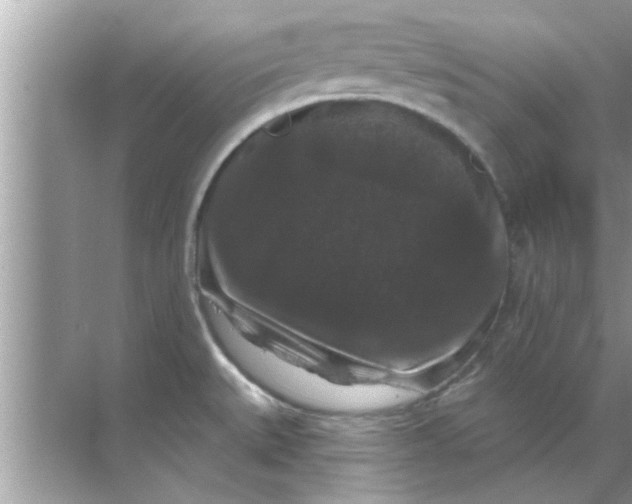 X0000070861527200606302033