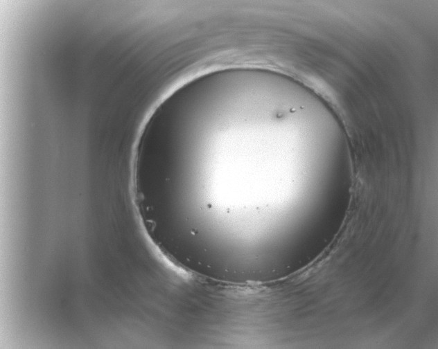 X0000070861528200606302033