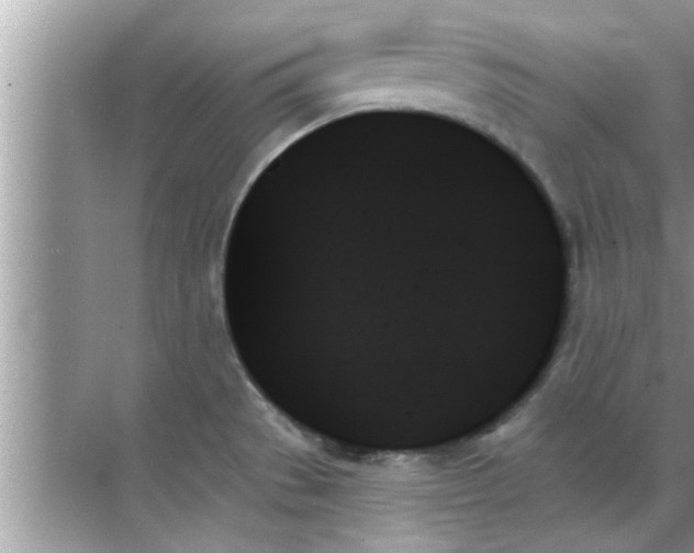 X0000070861529200606302033