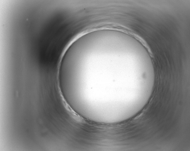 X0000070861530200606302033