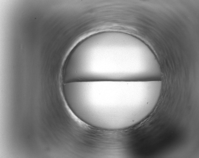 X0000070861531200606302033